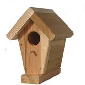 Cedar Bird Loft