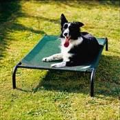 Medium Coolaroo Dog or Cat Bed