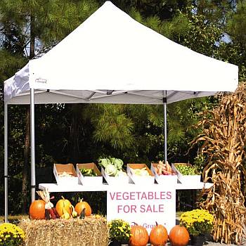 Goliath 10ft x 10ft Aluminum Frame Shade Canopy